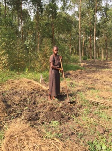 Teenage girl tilling the land in mid-day jan. sunshine in Uganda - Desperate yet remains positive